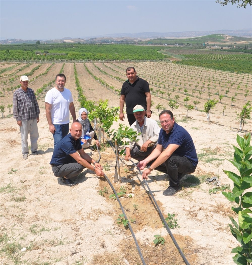 Tarsus'ta Hibe Desteği Alan Çiftçilere Ziyaret