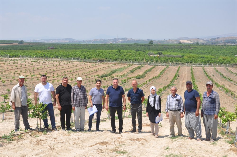 Tarsus'ta Hibe Desteği Alan Çiftçilere Ziyaret