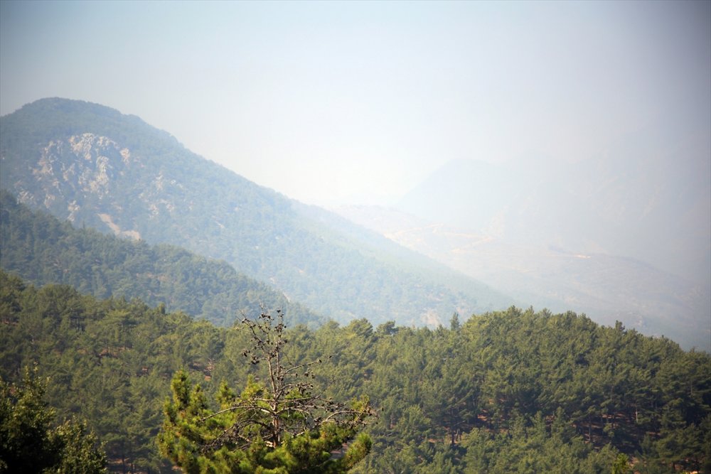 Mersin'deki Orman Yangınında Soğutma Çalışmalarına Geçildi