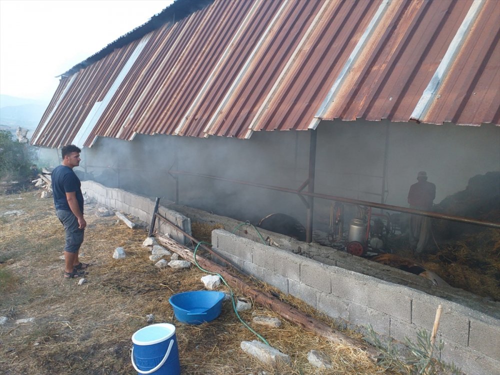 Mersin'de Yangın Çıkan Ahırdaki 13 Büyükbaş Hayvan Telef Oldu