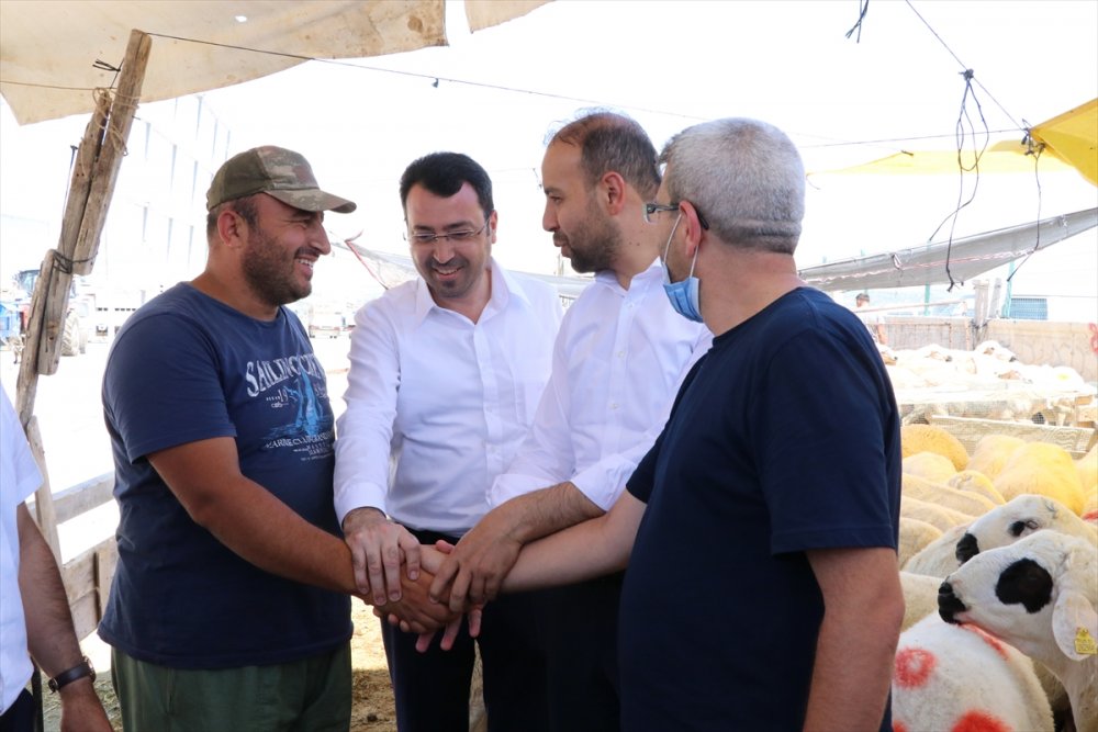 Niğde'de Hayvan Pazarında Arefe  Yoğunluğu