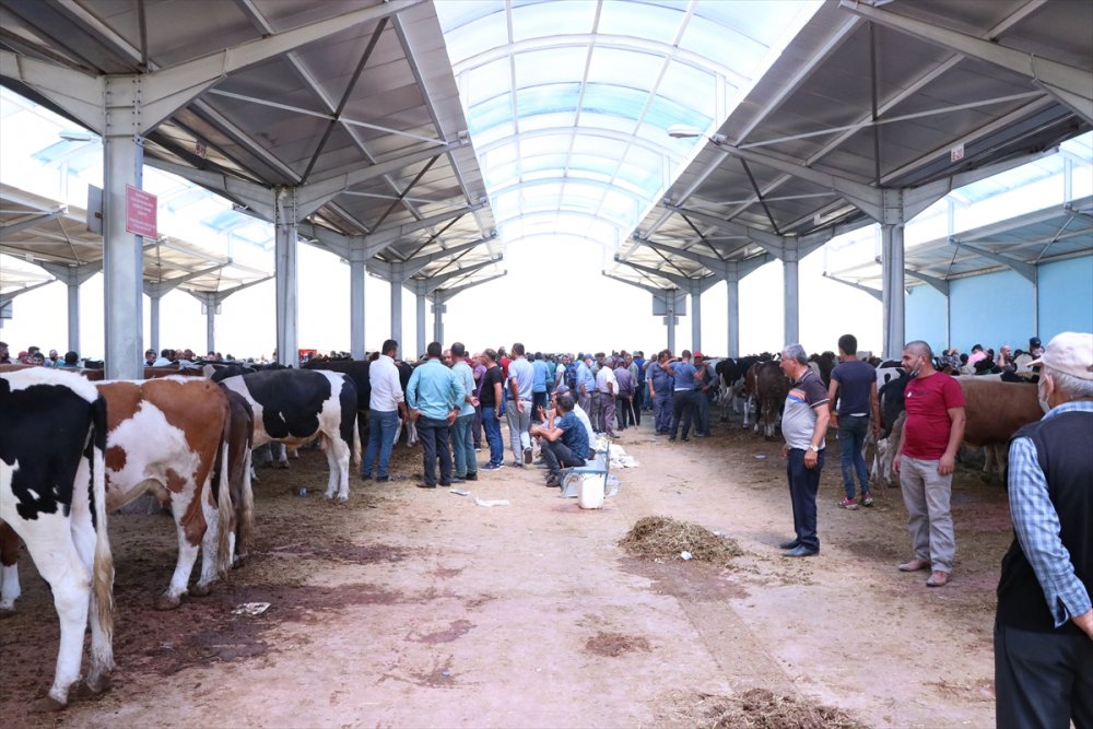 Niğde'de Hayvan Pazarında Arefe  Yoğunluğu