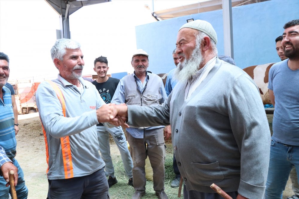 Niğde'de Hayvan Pazarında Arefe  Yoğunluğu