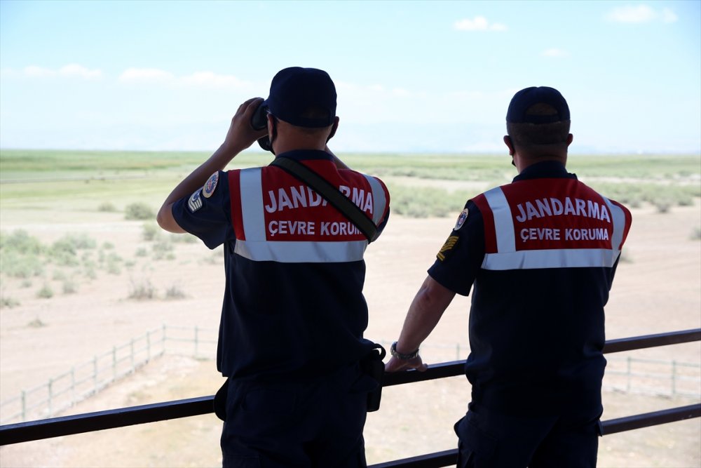 Jandarmanın Özel Timi Çevre Ve Hayvanlar İçin Mesaide