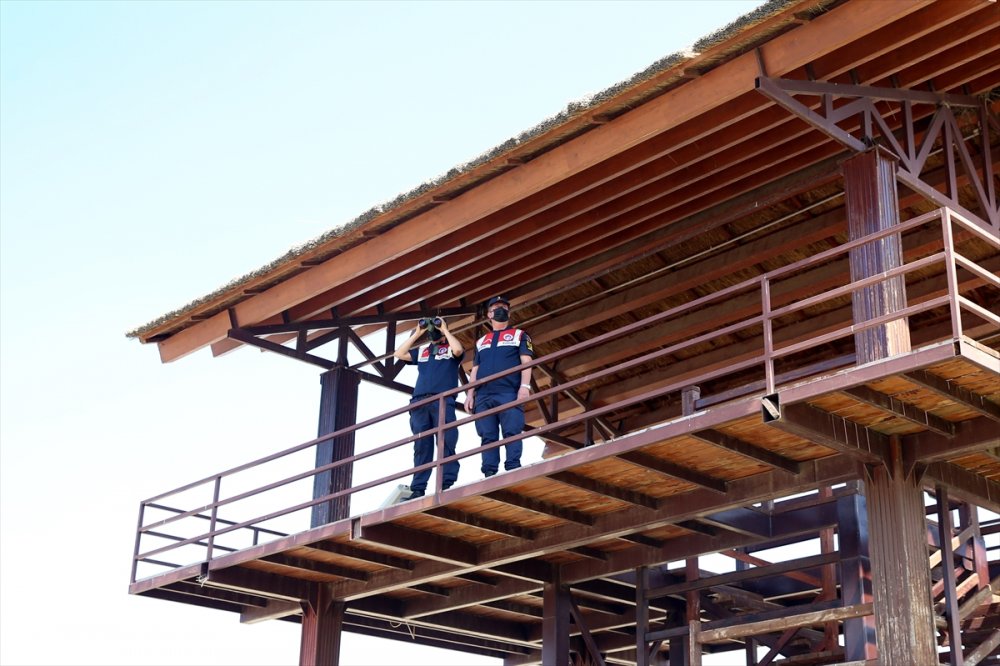 Jandarmanın Özel Timi Çevre Ve Hayvanlar İçin Mesaide