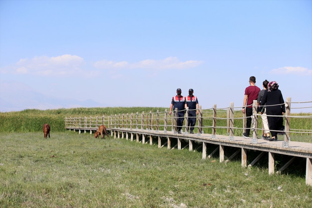 Jandarmanın Özel Timi Çevre Ve Hayvanlar İçin Mesaide