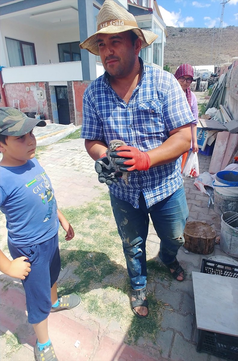 Kayseri'de Yaralı Bulunan 2 Baykuş Yavrusu Tedavi Altına Alındı