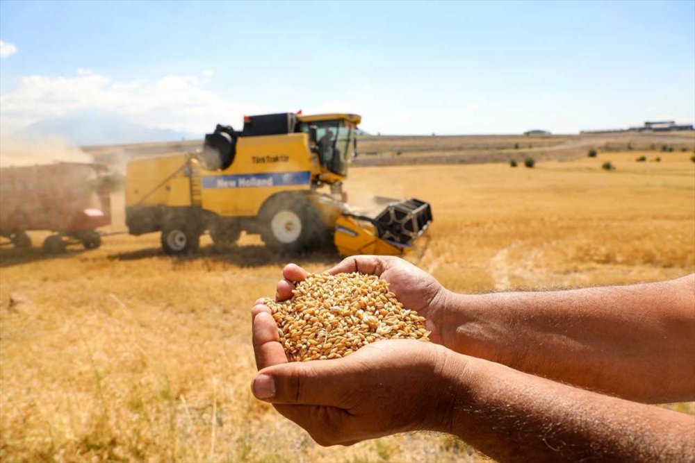 Talas İlçesinde Boş Araziler Tarıma Kazandırılıyor