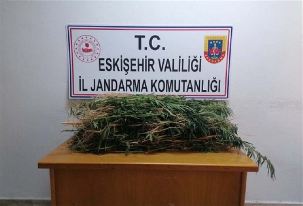 Eskişehir'de Drone Destekli Uyuşturucu Operasyonunda 2 Bin Kök Hint Keneviri Ele Geçirildi