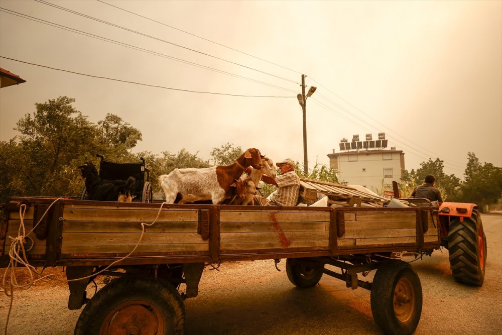 Antalya'da Ciğerlerimiz Yanmaya Devam Ediyor