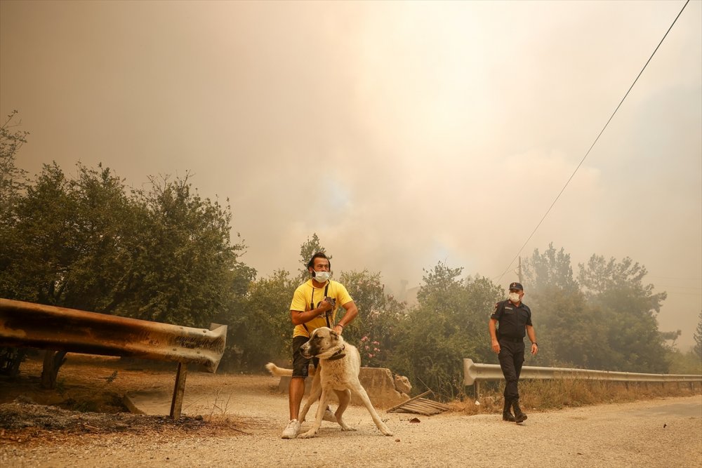 Antalya'da Ciğerlerimiz Yanmaya Devam Ediyor