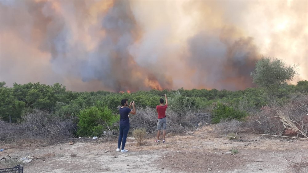 Antalya'da Ciğerlerimiz Yanmaya Devam Ediyor