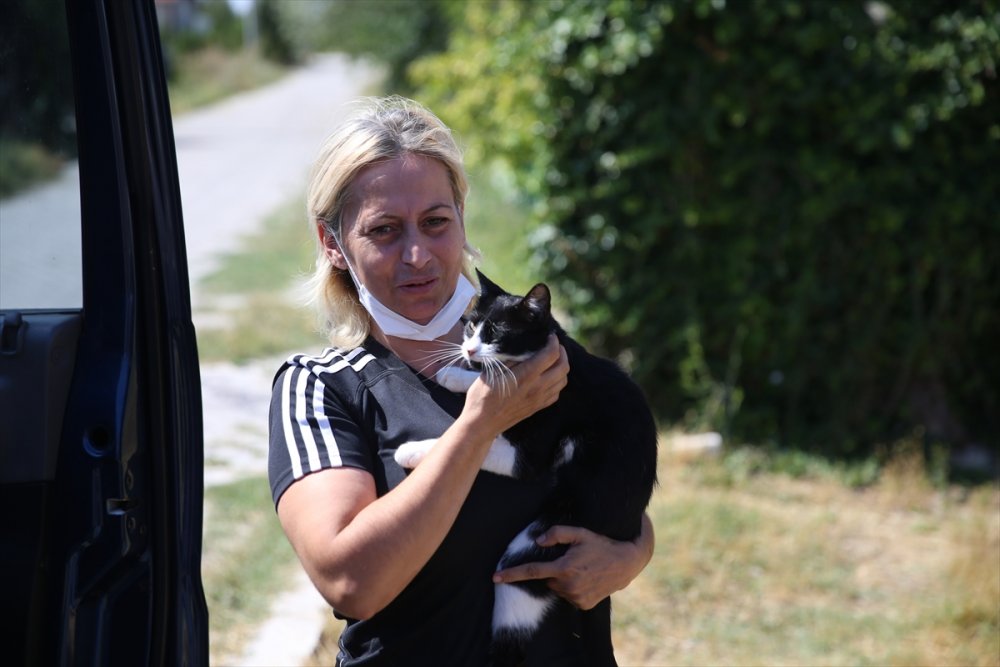 Eskişehir'de Sokak Hayvanlarını Beslediği Sırada Darbedildiğini Öne Süren Kadın, Hayvanları Yalnız Bırakmıyor