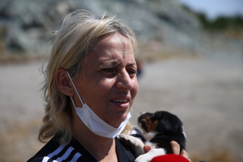 Eskişehir'de Sokak Hayvanlarını Beslediği Sırada Darbedildiğini Öne Süren Kadın, Hayvanları Yalnız Bırakmıyor