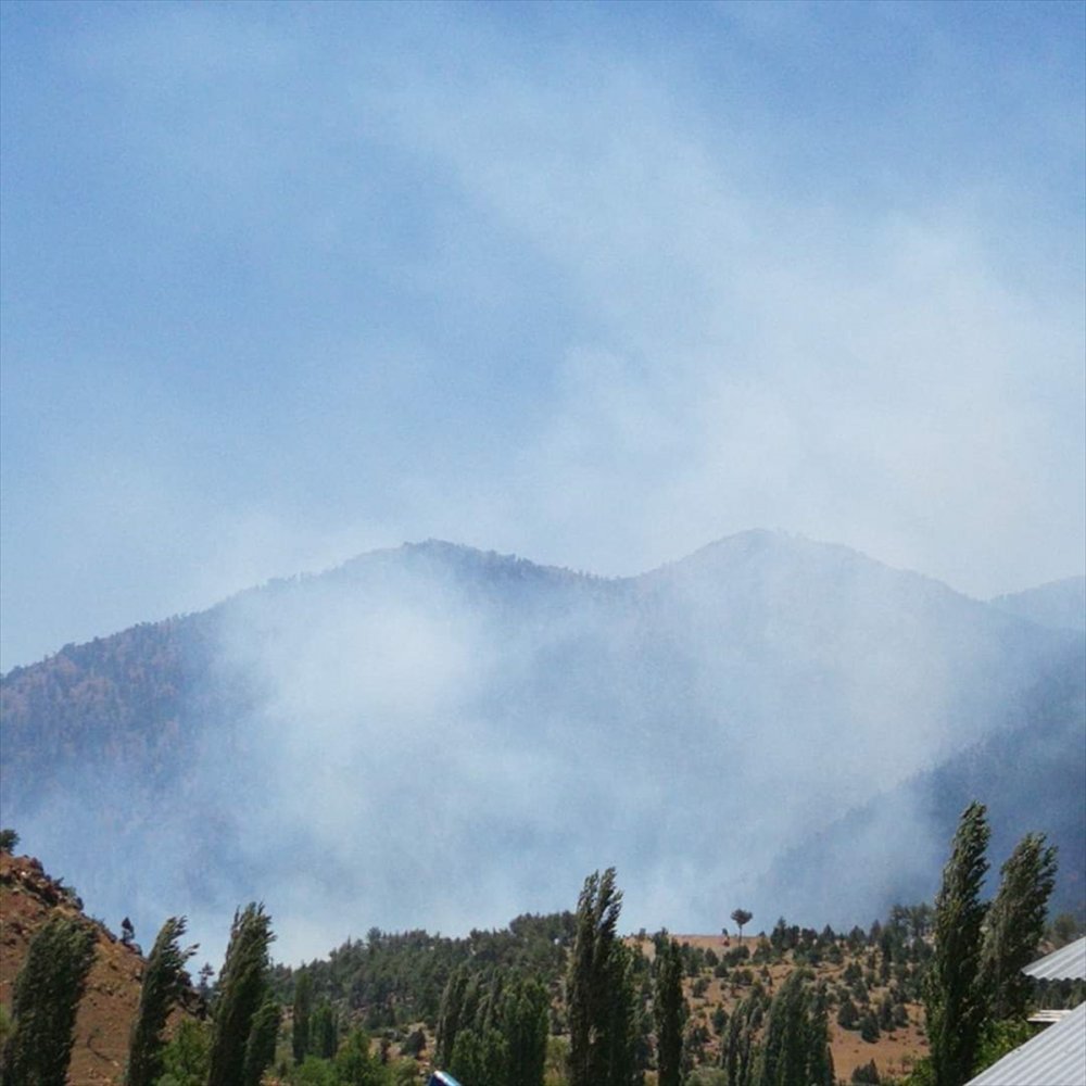 Kayseri'de Ormanlık Alanda Yangın Çıktı