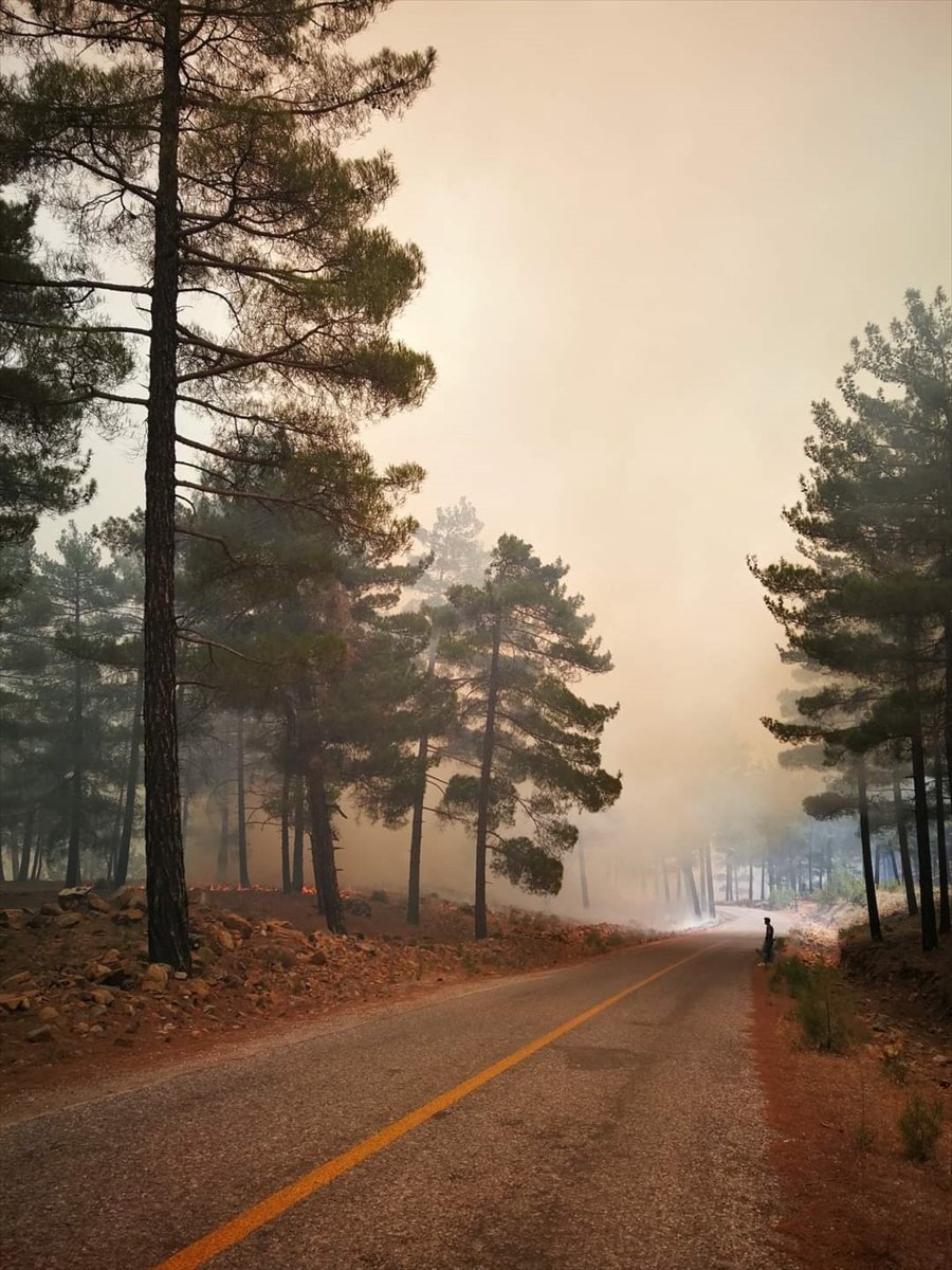 Kayseri'de Ormanlık Alanda Yangın Çıktı