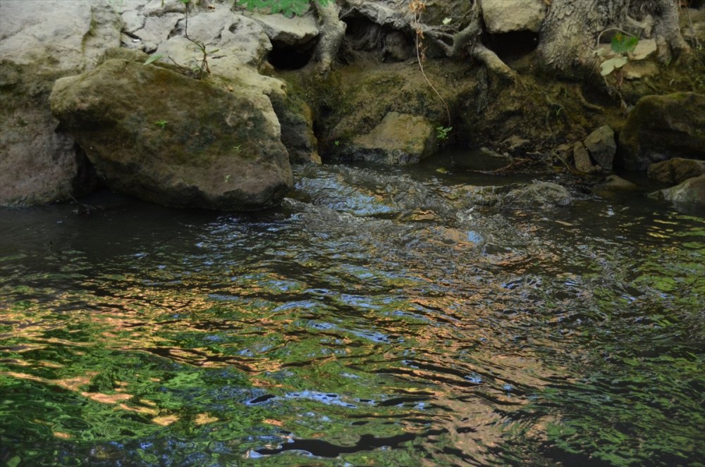 Manavgat Irmağı'na Atık Su Bırakıldığı İddiası