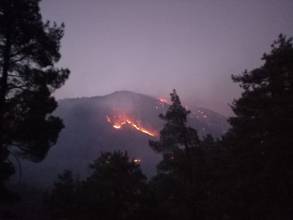 Aladağlar Milli Parkı'ndaki Yangını Söndürme Çalışmaları Sürüyor