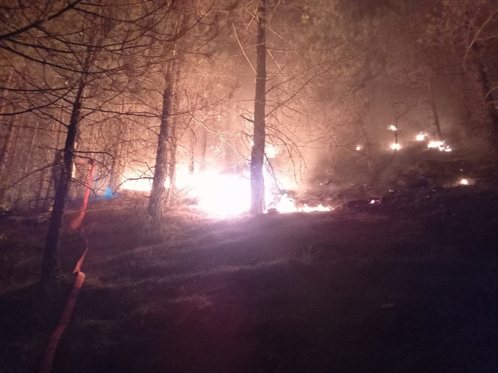 Aladağlar Milli Parkı'ndaki Yangını Söndürme Çalışmaları Sürüyor