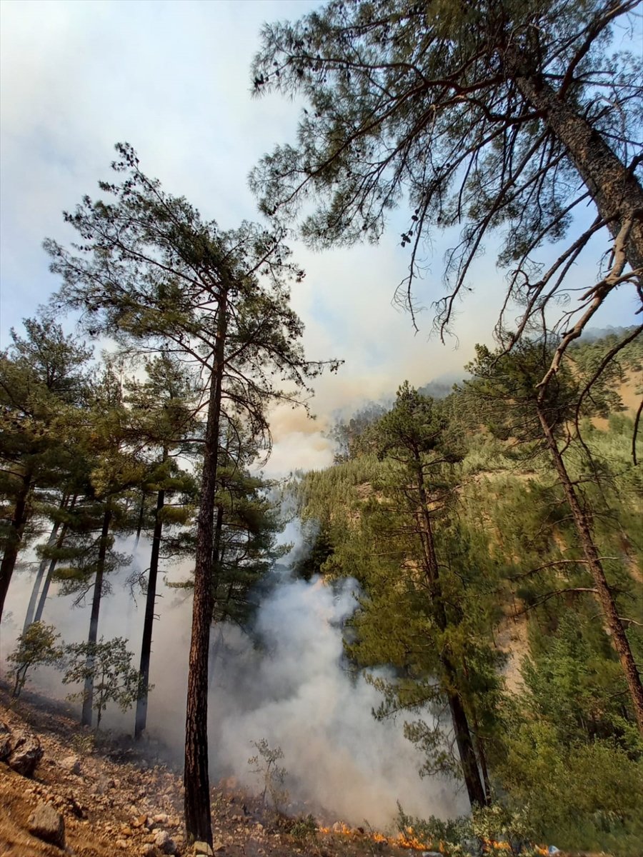 Aladağlar Milli Parkı'ndaki Yangını Söndürme Çalışmaları Sürüyor