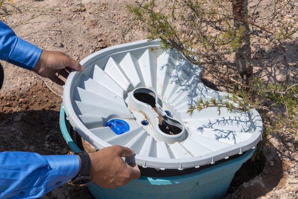 Büyükşehir Belediyesinin Fidan Dikiminde Kullandığı Susuz Bitki Yetiştirme Aparatı Başarı Sağlandı