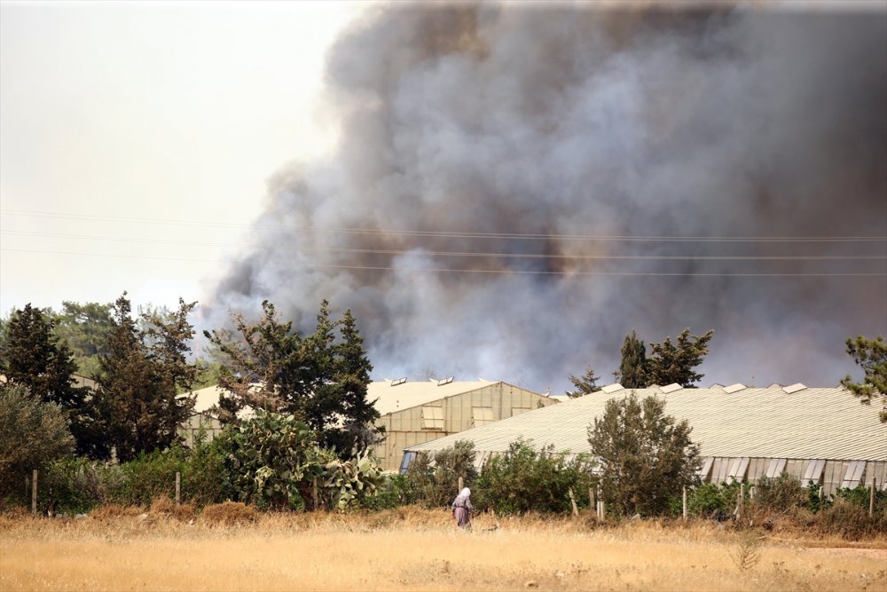 Mersin Silifke'deki Orman Yangınlarında Son Durum