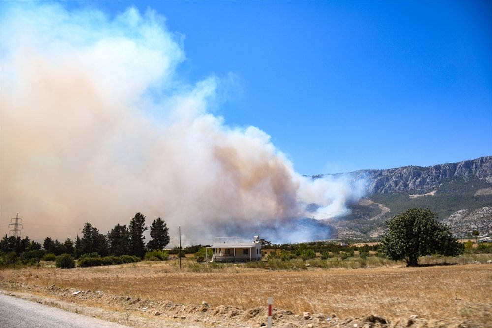 Mersin Silifke'deki Orman Yangınlarında Son Durum