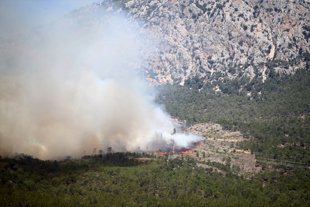 Mersin Silifke'deki Orman Yangınlarında Son Durum