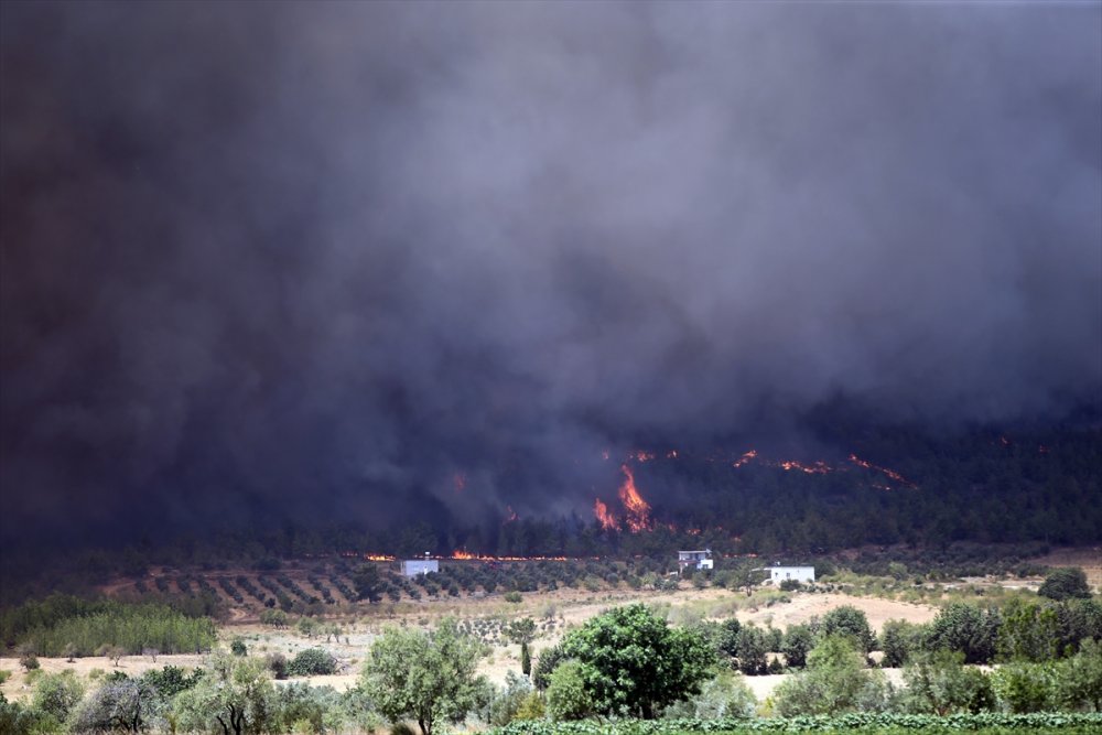 Mersin Silifke'deki Orman Yangınlarında Son Durum
