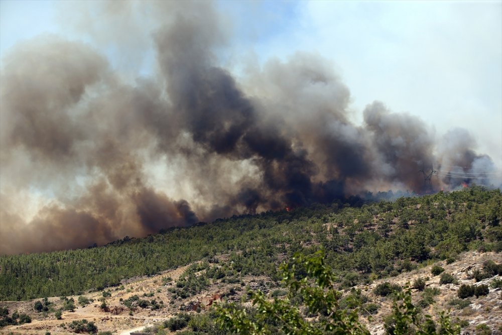 Mersin Silifke'deki Orman Yangınlarında Son Durum