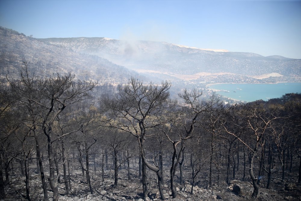 Mersin Silifke'deki Orman Yangınlarında Son Durum