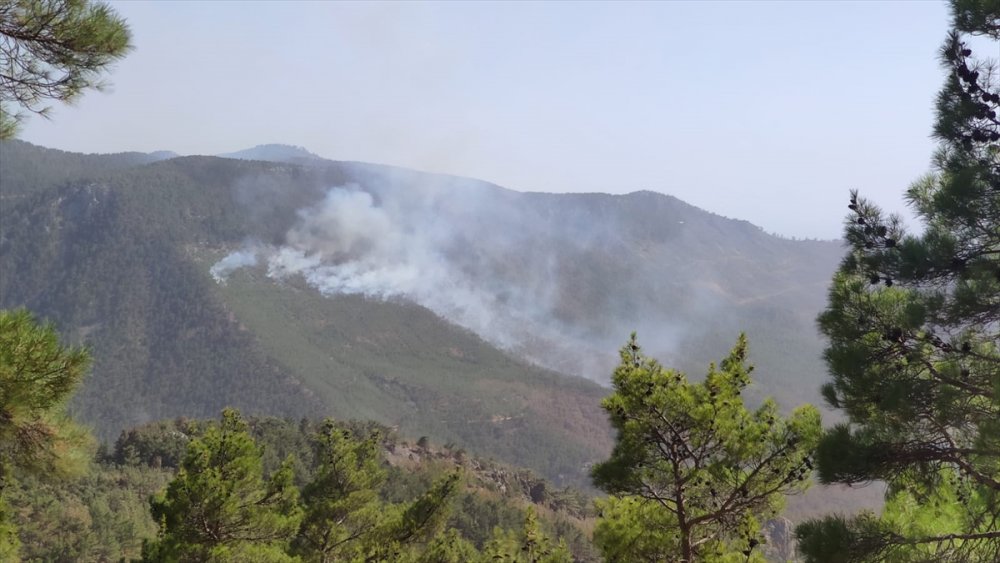 Mersin'de Çıkan Orman Yangınına Müdahale Ediliyor
