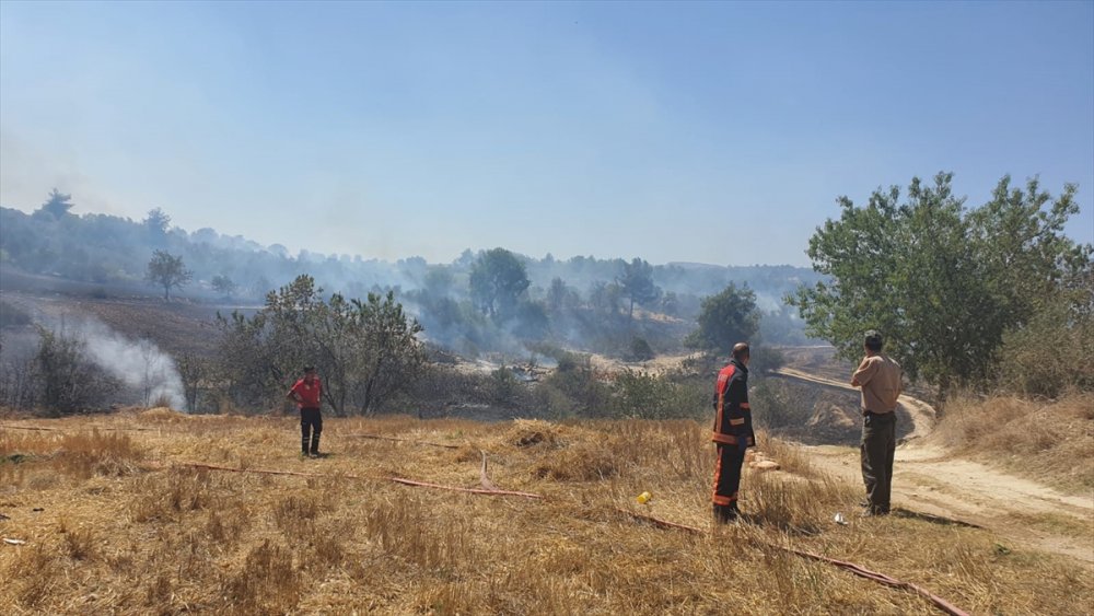 Mersin'de Tarım Arazisinde Çıkan Yangın Söndürüldü