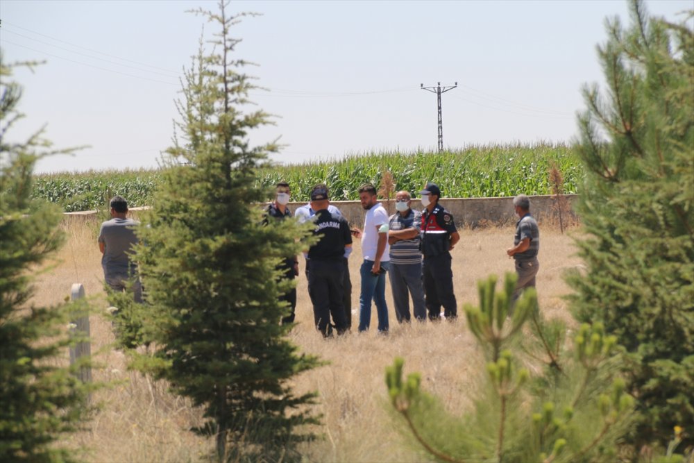 Aksaray'da Çocuk Cesedi İhbarına Giden Jandarma Köpek Leşiyle Karşılaştı