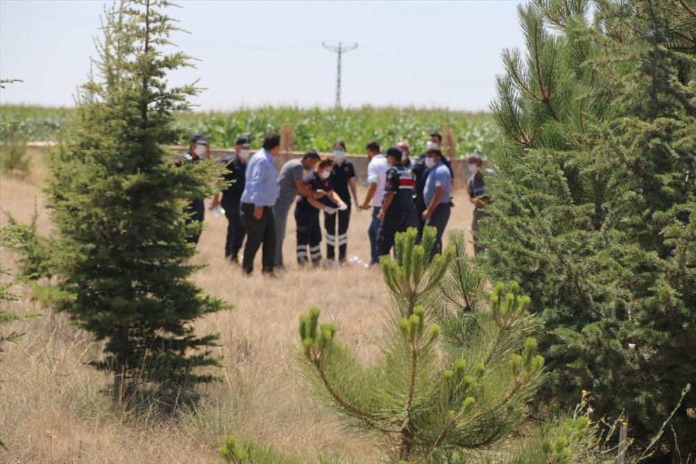 Aksaray'da Çocuk Cesedi İhbarına Giden Jandarma Köpek Leşiyle Karşılaştı