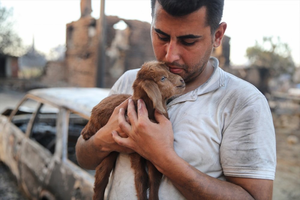 Alevlerin Arasında Doğan Oğlağa "Mucize" Adı Verildi