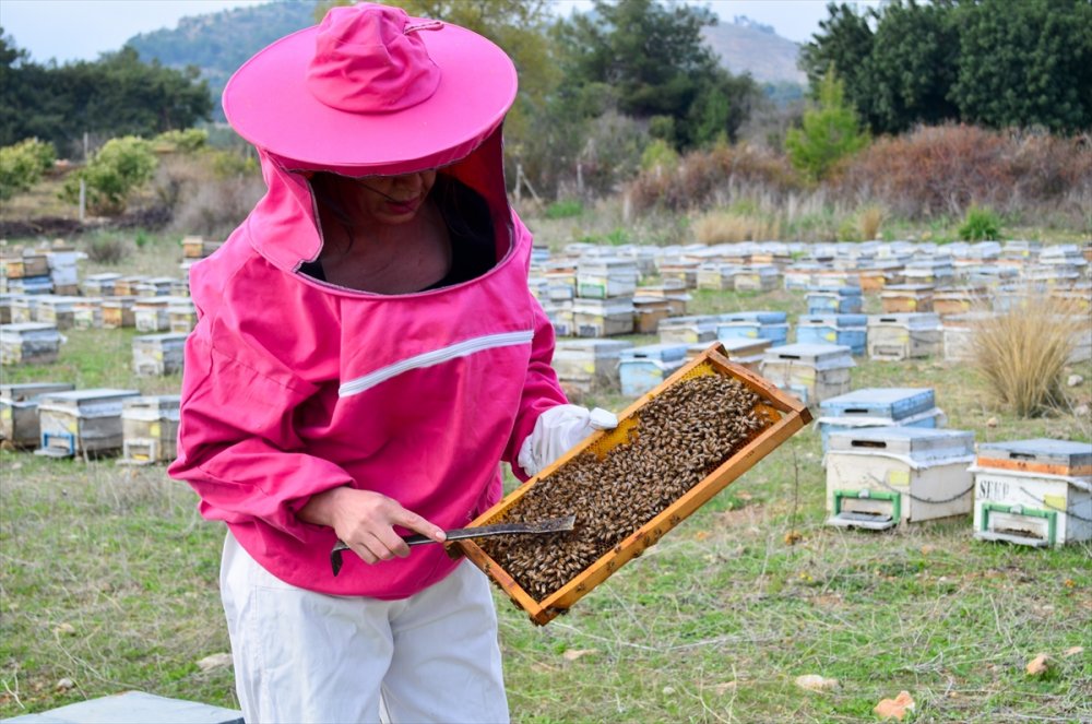 "Pembe Tulumlu" Arıcı, Ürettiği Organik Balı Kendi Markasıyla Satıyor