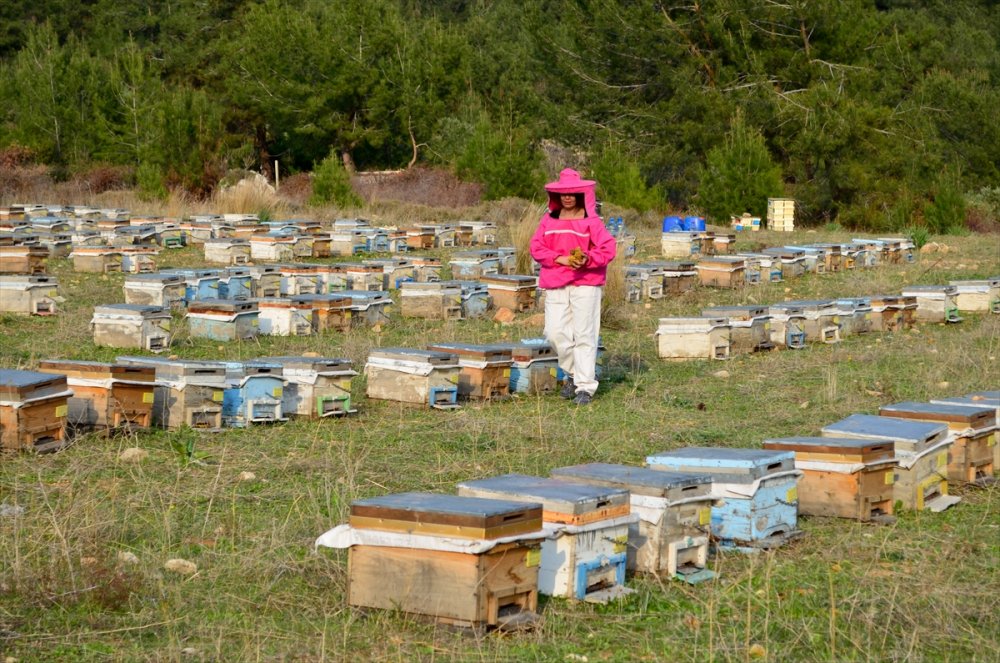 "Pembe Tulumlu" Arıcı, Ürettiği Organik Balı Kendi Markasıyla Satıyor