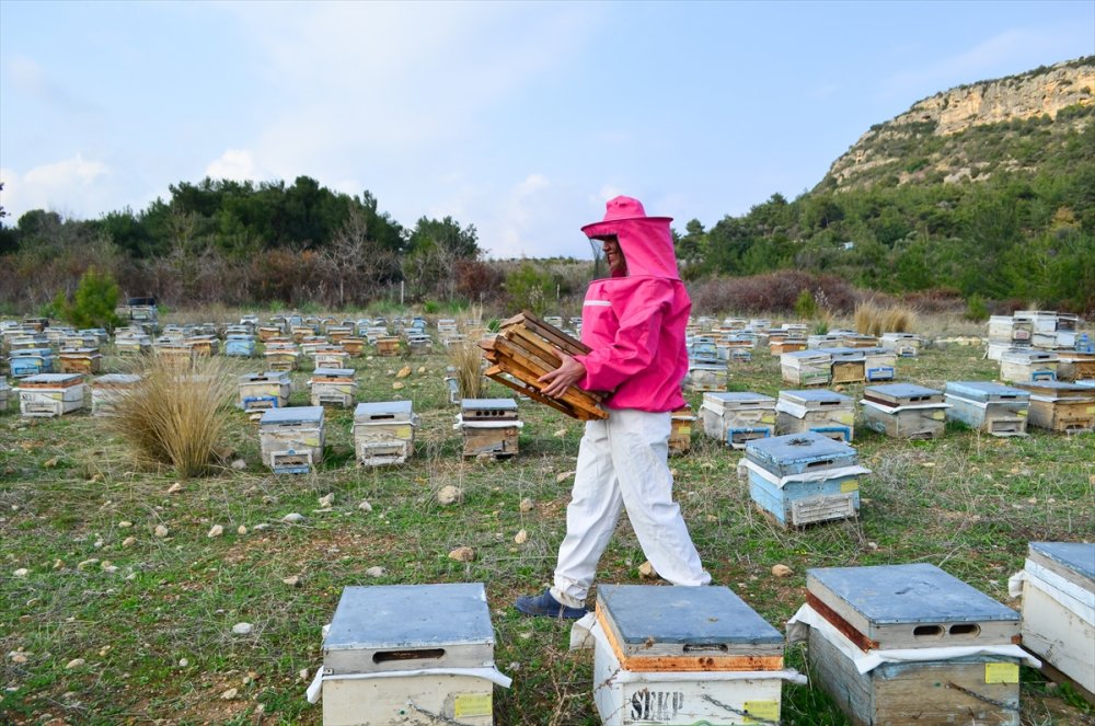 "Pembe Tulumlu" Arıcı, Ürettiği Organik Balı Kendi Markasıyla Satıyor
