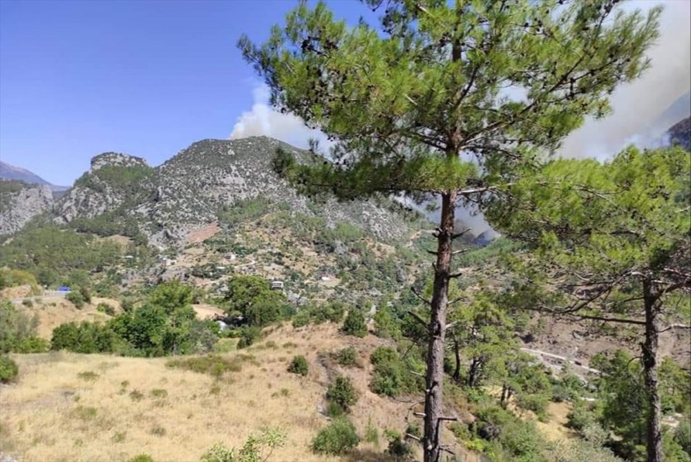 Antalya'da Mağdur Olan 33 Vatandaş Yurtlara Yerleştirildi