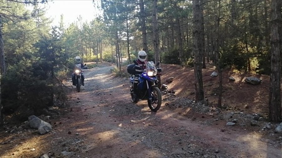 Eskişehir'de Ormanlık Alanlarda Denetim Gerçekleştirildi