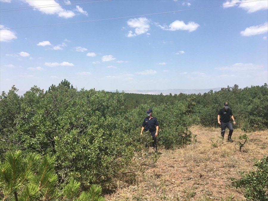 Eskişehir'de Ormanlık Alanlarda Denetim Gerçekleştirildi