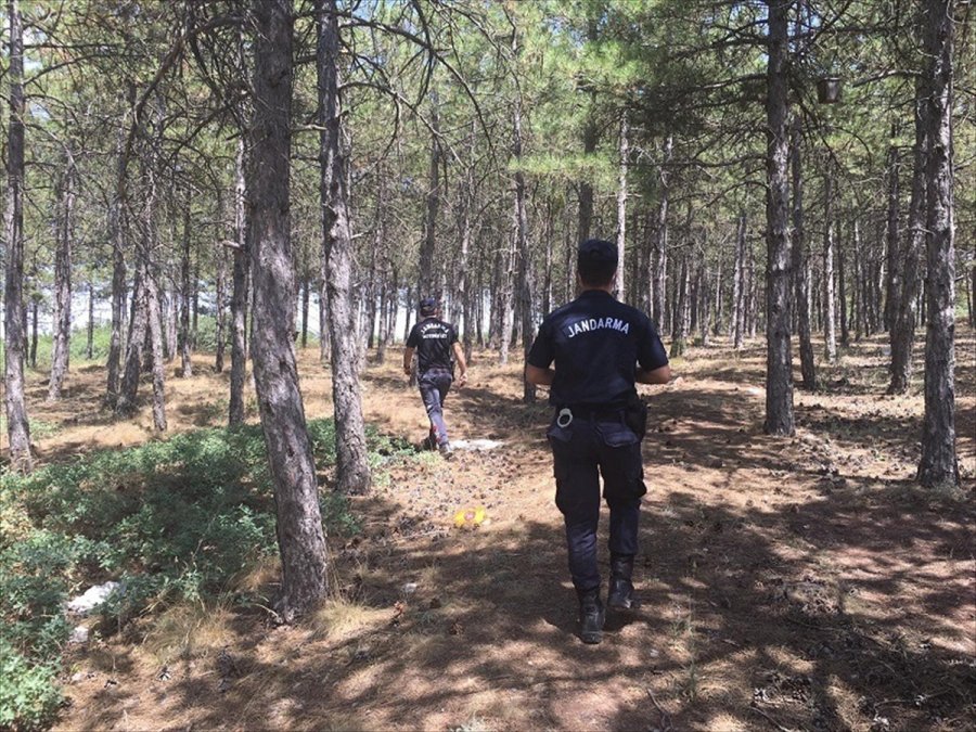 Eskişehir'de Ormanlık Alanlarda Denetim Gerçekleştirildi