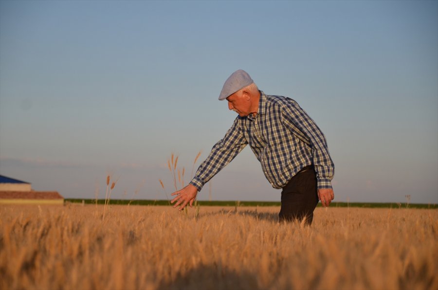 Konya'da Kuraklığın Etkisiyle Birçok Baraj, Göl Ve Gölet Dip Seviyeleri Gördü