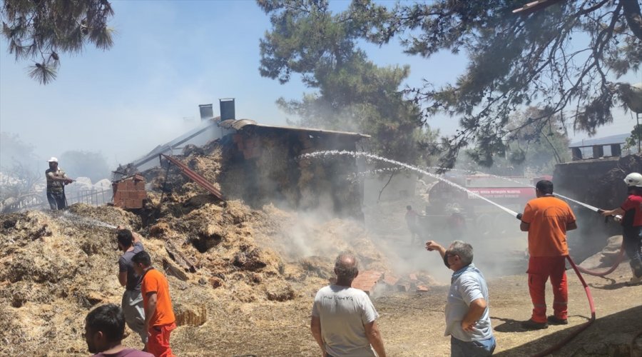 Mersin'de Ahırda Çıkan Yangın Ormanlık Alana Sıçramadan Söndürüldü