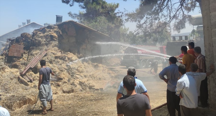 Mersin'de Ahırda Çıkan Yangın Ormanlık Alana Sıçramadan Söndürüldü