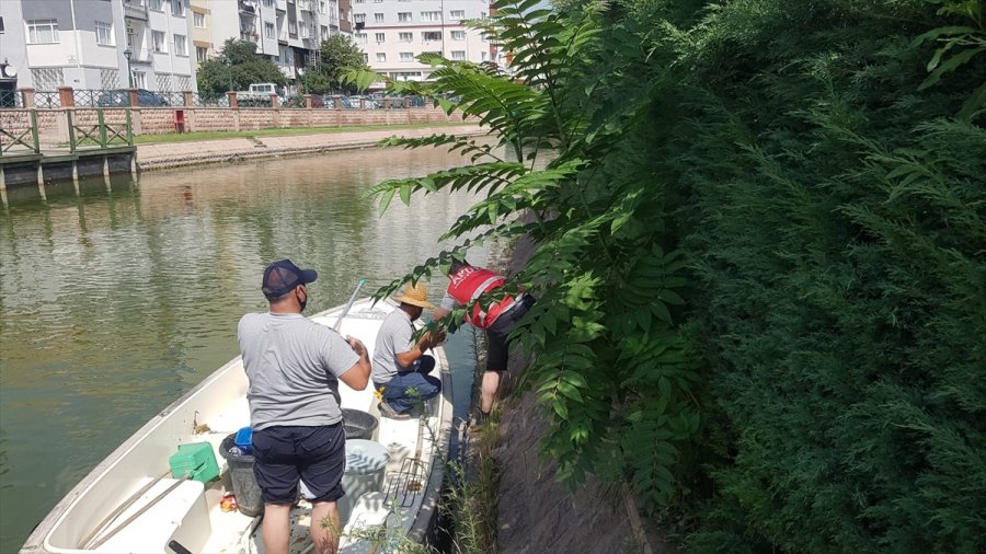 Porsuk Çayı Kenarındaki Ağaçlık Alanda Mahsur Kalan Köpek Yavrularını Akut Ekipleri Kurtardı