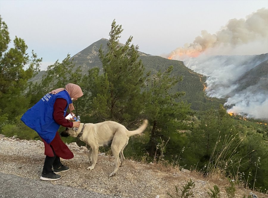 Üniversiteli Reyhan Dedesini Kaybettiği Yangında Yaptıklarıyla Gönüllere Dokunuyor