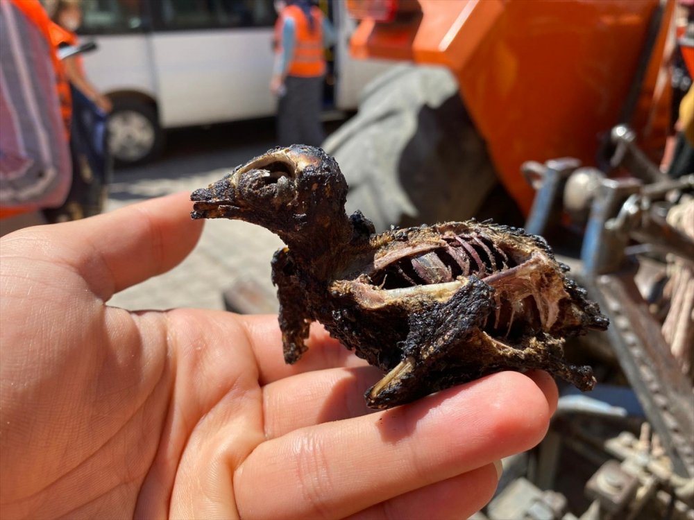 Çevre Ve Şehircilik Bakanı Kurum, Akseki'de Yangından Etkilenen Vatandaşları Ziyaret Etti