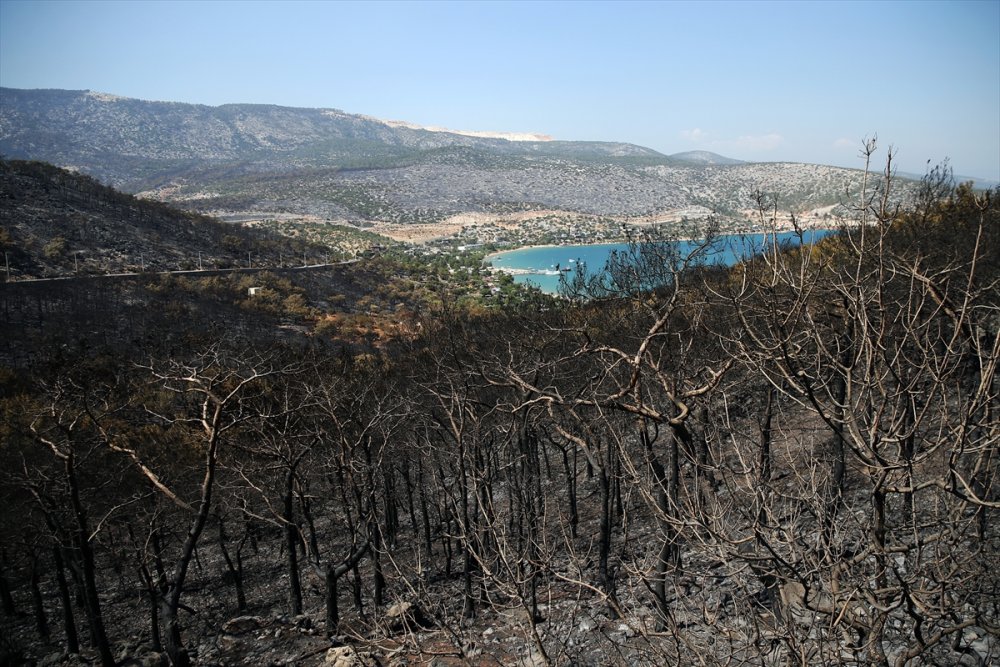 "Genel Hayata Etkili Afet Bölgesi" İlan Edilen Silifke Ve Aydıncık'ta, Yaraları Devlet Saracak